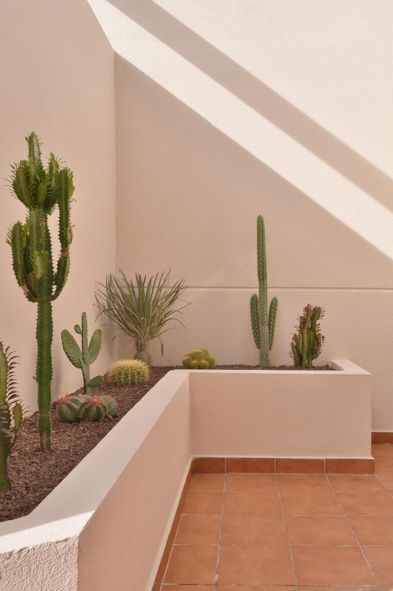 Casa Mareterra - Design Villa With Pool And Terrace Near Corralejo And Lajares Kültér fotó